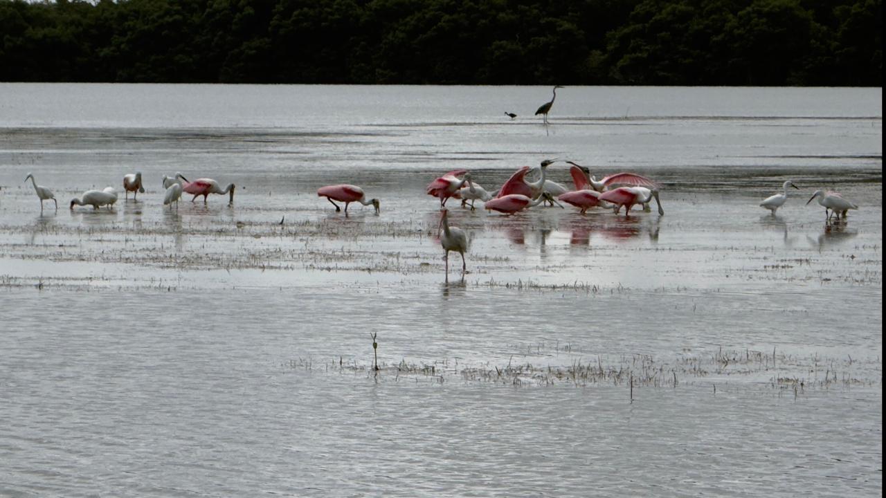 Aventura Río Lagartos 12