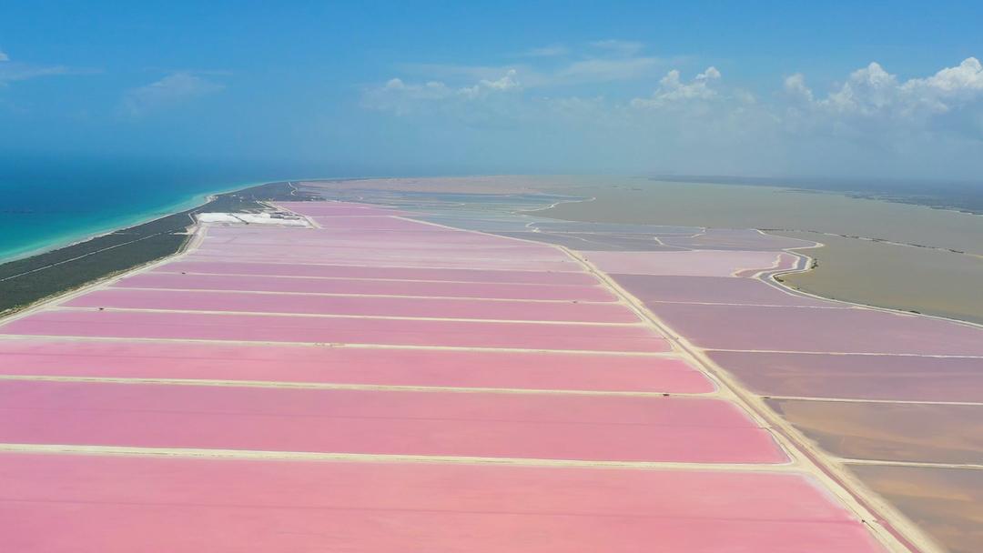 Aventura Río Lagartos 22