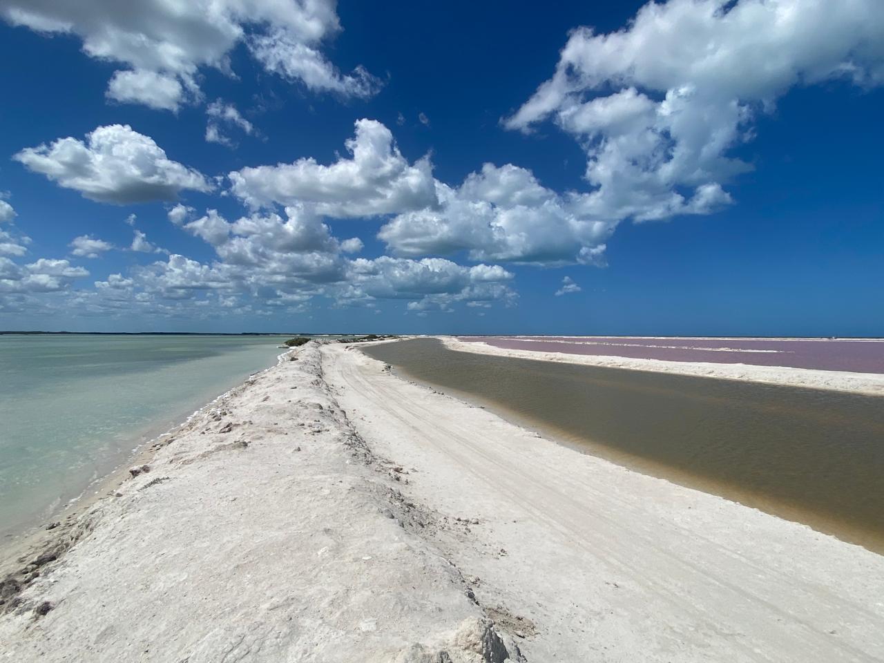 Aventura Río Lagartos 7